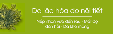 Da lão hóa do nội tiết