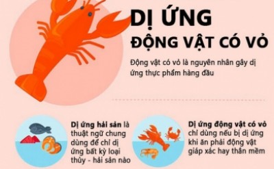 Người bị dị ứng động vật có vỏ dùng Murad được không?