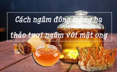 Cách Ngâm Đông Trùng Hạ Thảo Tươi Với Mật Ong