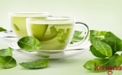 Khám phá bí quyết trị mụn tự nhiên bằng lá trà xanh tại nhà SIÊU đơn giản