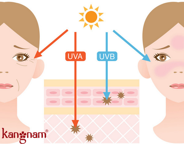 Cách chống nắng toàn diện