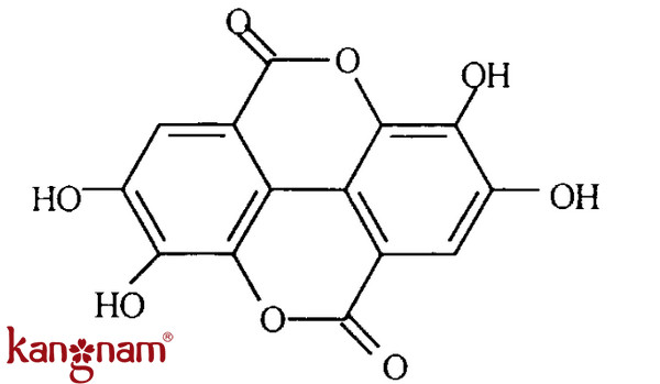 Mua viên uống chống nắng Murad ở đâu tại Thành Phố Hồ Chí Minh