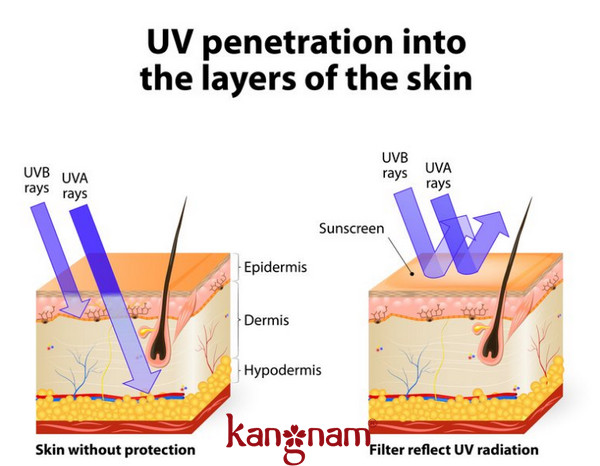 Mua viên uống chống nắng Murad ở đâu uy tín 