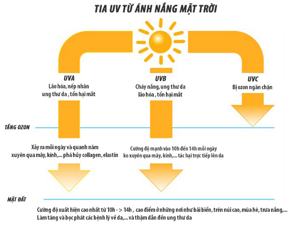 Thuốc viên uống chống nắng Murad mua ở đâu chính hãng