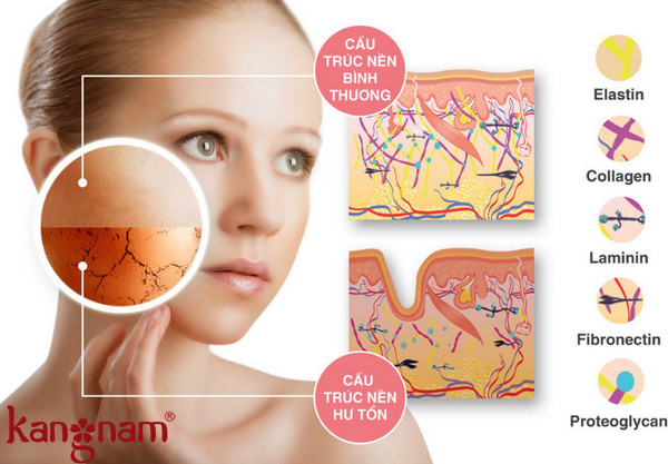 Viên uống chống nắng toàn thân