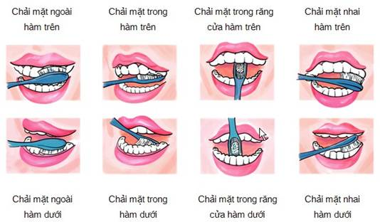 cách trị hôi miệng hiệu quả nhất tại nhà