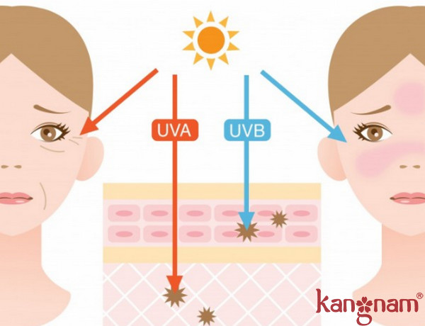 Tia UVA và UVB gây tác hại nghiêm trọng đến làn da