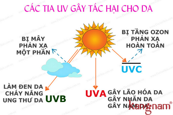 Nếu bạn không bảo vêj làn da sẽ gây ra nhiều tác hại cho da