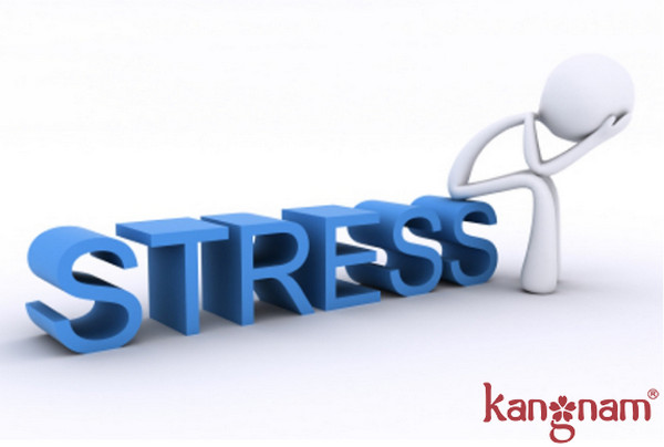 dấu hiêu bị stress 