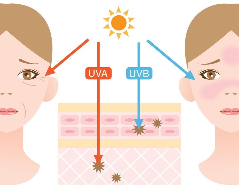Cần dưỡng da vào mùa hè để tránh khỏi sự ảnh hưởng của tia nắng lên làn da 