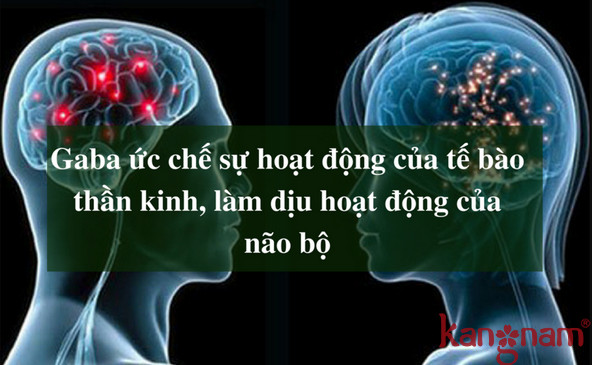 Viên uống giảm căng thẳng Murad giá bao nhiêu? 