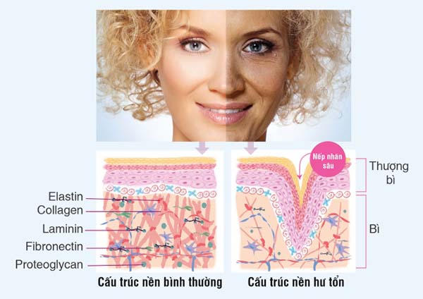 nguy hiểm của tia UV