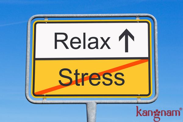 Stress tăng sự sản sinh các loại hoocmon gây mụn trầm trọng