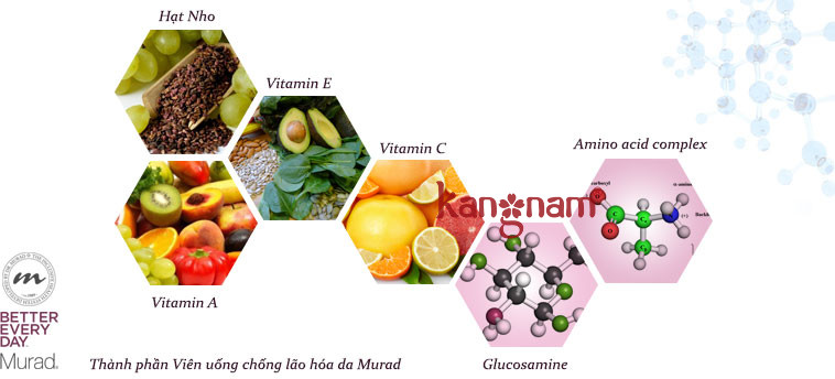 Thành phần của viên uống trẻ hóa da Murad