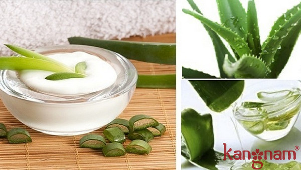 tinh chất căng mọng Murad giá chính hãng 